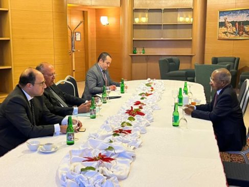 وزارة الخارجية: شكري يعقد جلسة مباحثات مع وزير خارجية إريتريا  صرح السفير 25325