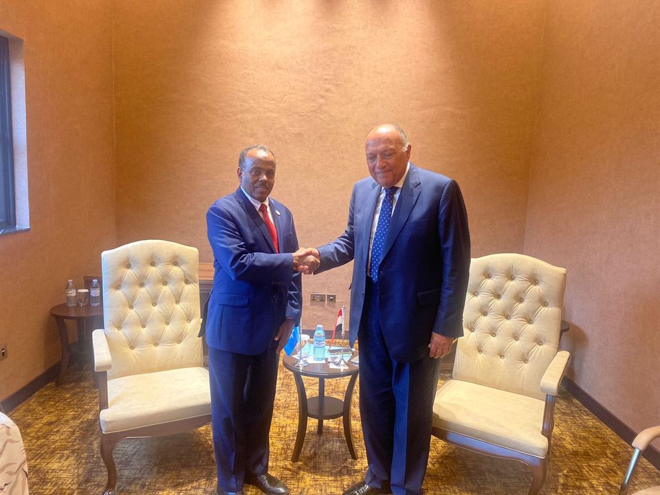 وزارة الخارجية: وزير الخارجية يلتقي القائم بأعمال وزير خارجية الصومال التقى السيد 27833