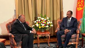 خلال تسليمه رسالة من الرئيس السيسي إلى الرئيس الإريتري: 
وزير الخارجية يؤكد على عمق العلاقات التاريخية بين
