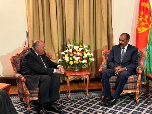 خلال تسليمه رسالة من الرئيس السيسي إلى الرئيس الإريتري: وزير الخارجية يؤكد على عمق العلاقات التاريخية بين 35524