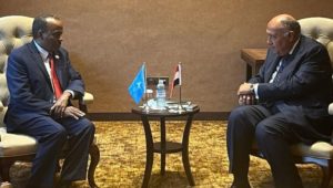 وزير الخارجية يلتقي القائم بأعمال وزير خارجية الصومال 
- 
التقى السيد سامح شكرى وزير الخارجية يوم