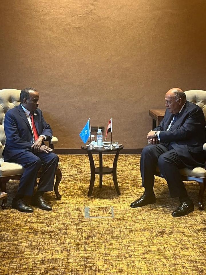 وزير الخارجية يلتقي القائم بأعمال وزير خارجية الصومال - التقى السيد سامح شكرى وزير الخارجية يوم 73919