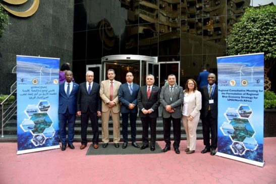 اعتماد مركز تميز الاتحاد الإفريقي للاستزراع السمكي والمصايد بجامعة السويس كمركز تدريب مُعتمد للاتحاد 75321