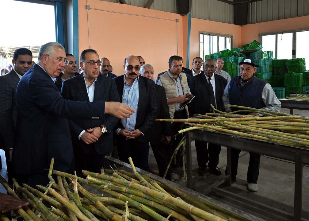 رئيس الوزراء يتفقد محطة شتلات قصب السكر بكوم امبو خلال زيارته لمحافظة أسوان، وفي إطار حرصه على 90555