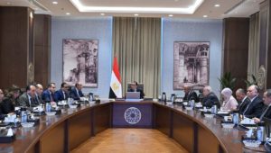 رئيس الوزراء يستعرض استراتيجية تطوير المطارات المصرية 
مدبولي يؤكد ضرورة الاستعانة بشركات القطاع الخاص في