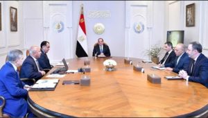 الرئيس عبد الفتاح السيسي يعقد اجتماعًا مع الرئيس التنفيذي لشركة الخطوط الملاحية الفرنسية العالمية