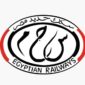 الهيئة القومية لسكك حديد مصر: 
السكة الحديد :إيقاف حركة القطارات بين محطتي جلال و رأس الحكمة بخط