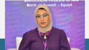 خلال مشاركة أميرة حسام، معاون وزيرة التخطيط والتنمية الاقتصادية لشئون التنمية المستدامة، في القمة العالمية