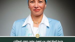 بتمويل إضافي من مرفق البيئة العالمية (GEF) بقيمة ٩