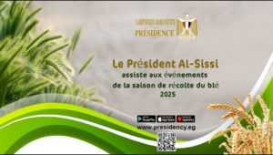 Le Président Al-Sissi assiste aux événements de la saison de récolte du blé 2025