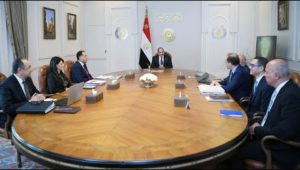 السيد الرئيس يطلع على تنفيذ استراتيجية العمل التي تتبناها وزارة قطاع الأعمال للفترة من (٢٠٢٤-٢٠٢٧)