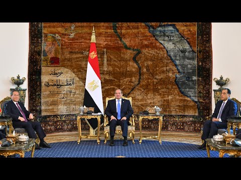 الرئيس عبد الفتاح السيسي يستقبل رئيس مجلس الدولة الصيني hqdefaul 20