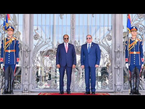 الرئيس عبد الفتاح السيسي يستقبل رئيس جمهورية الصومال الفيدرالية ويعقدان مؤتمرًا صحفيًا مشتركًا hqdefault 9