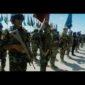 برومو (1) النجم الساطع 2025