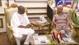 الفريق أول عبد المجيد صقر يلتقى وزير الدفاع لجمهورية جامبيا